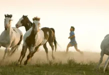 Seyahatimize İlham Olan Filmler (Avrupa – Asya)