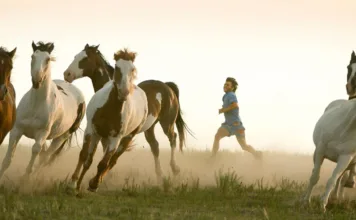 Seyahatimize İlham Olan Filmler (Avrupa – Asya)