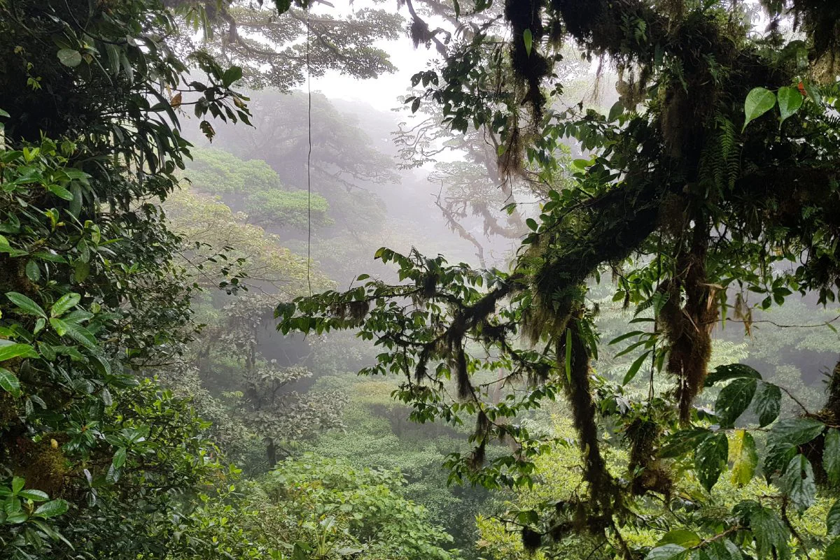 Kosta Rika Hakkında 19 İlginç Bilgi