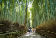 Kyoto – Japonya Notları 4