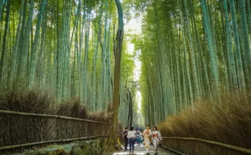 Kyoto – Japonya Notları 4