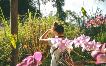 Luang Prabang – Laos Notları 3