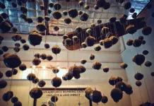 Vientiane – Laos Notları 5