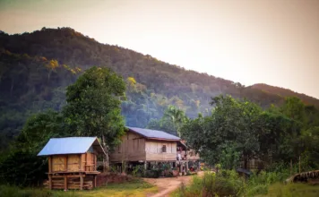 Laotańska dżungla czyli co w trawie piszczy
